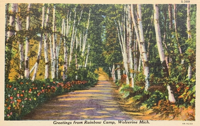 Rainbow Camp (Toastys Cabins) - OLD POSTCARD VIEW